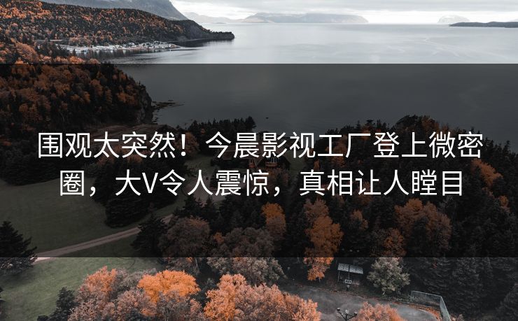 围观太突然！今晨影视工厂登上微密圈，大V令人震惊，真相让人瞠目