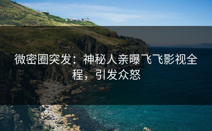 微密圈突发：神秘人亲曝飞飞影视全程，引发众怒