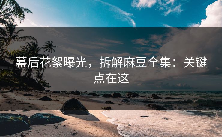 幕后花絮曝光，拆解麻豆全集：关键点在这