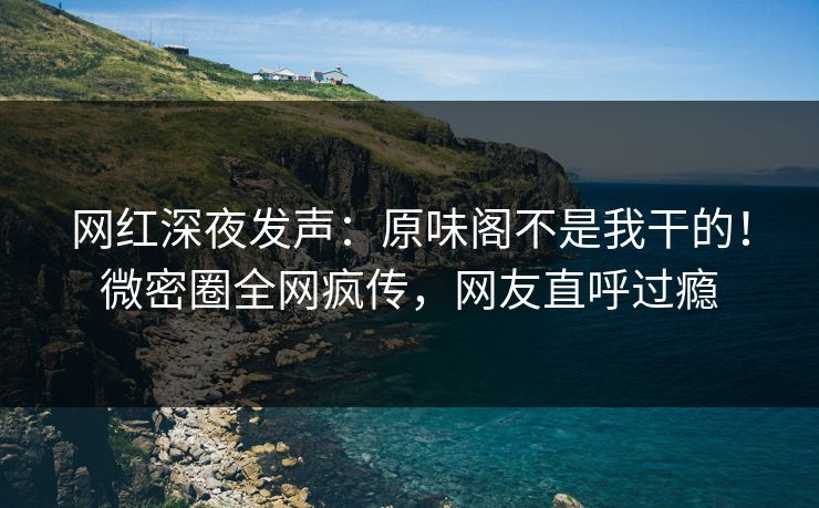 网红深夜发声：原味阁不是我干的！微密圈全网疯传，网友直呼过瘾